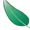 Cascade Natural Medicine