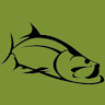 Catchfloridatarpon.com