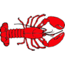 Cathy's Lobster Bake