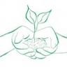 Catrina’s Garden, LLC