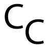 CaveConsult