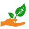 Cây Cảnh Anh Vũ