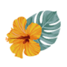 Cayenne Beauty Bar