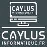 Caylus Informatique