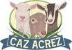 Caz Acrez Enterprises LLC