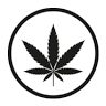 CBD STORE No.1