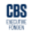 CBS Executive
