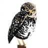 Burrowing Owl Festival