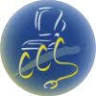 CCS DIRECT