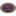 Lilly Pad (Boerners' Guest House)