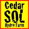 Cedar Sol Taco Stand & Hydro Farm