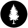 Cedar Sports: Outdoor Gear and Rentals