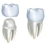 Celebration Dental Group