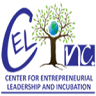 Center for Entrepreneurial Leadership & Incubation, Sukkur IBA University