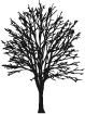 Center Tree Bar & Grill