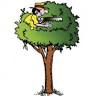 Central Tree Care
