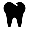 Stomatolog, Dentysta 