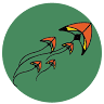 Cerf-Volant Coriolis Kite