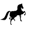 Penzion Černý Kůň