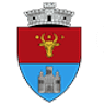 Village Hall City de Balta