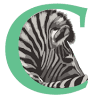 Chalela Physical Therapy Institute for EDS & CCI/Cervical Instabilities