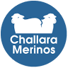 Challara Merino Stud