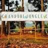 Chandubi Jungle Camp