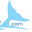 Channel Islands Whale Watching