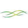 Charlemont Rise Land Development