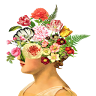 Charleston Flower Market
