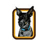 CharlieBar Dog Boarding & Training