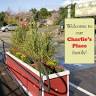 Charlie's Place
