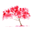 Cherry Tree Education