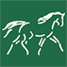 The Cheshire Horse