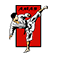 American Martial Arts Systems