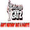 Chicago Catz