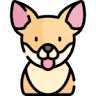 Chihuahua Pet