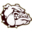 Choteau High School