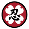 Chapel Hill Quest Martial Arts | To-Shin Do and Jiu-Jitsu