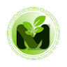 Monroe Church of Christ