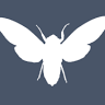 Cicada Tattoo