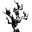 Citizen Vine