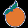 Citrus Plumbing of Venice, Inc.