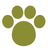 City Pets Animal Clinic