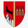 Neamt County Council