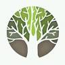Clay Park Tree Services