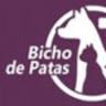Bicho de Patas Clínica Veterinária & Pet Shop. Especializada em cuidar bem!