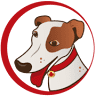 Bolt Veterinary Clinic