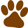 Veterinary Clinic Sleuth