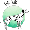Clínica Veterinaria San Blas